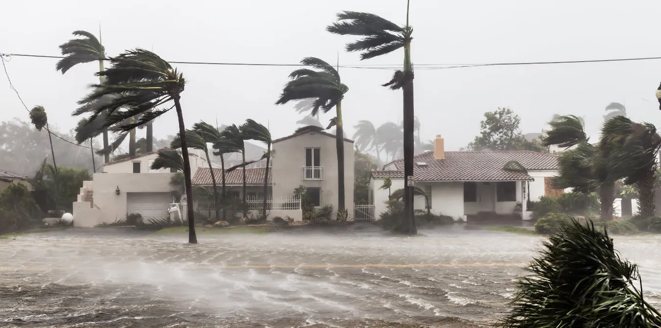 Impact Windows vs. Accordion Shutters: What’s Better for Hurricane-Prone Areas?