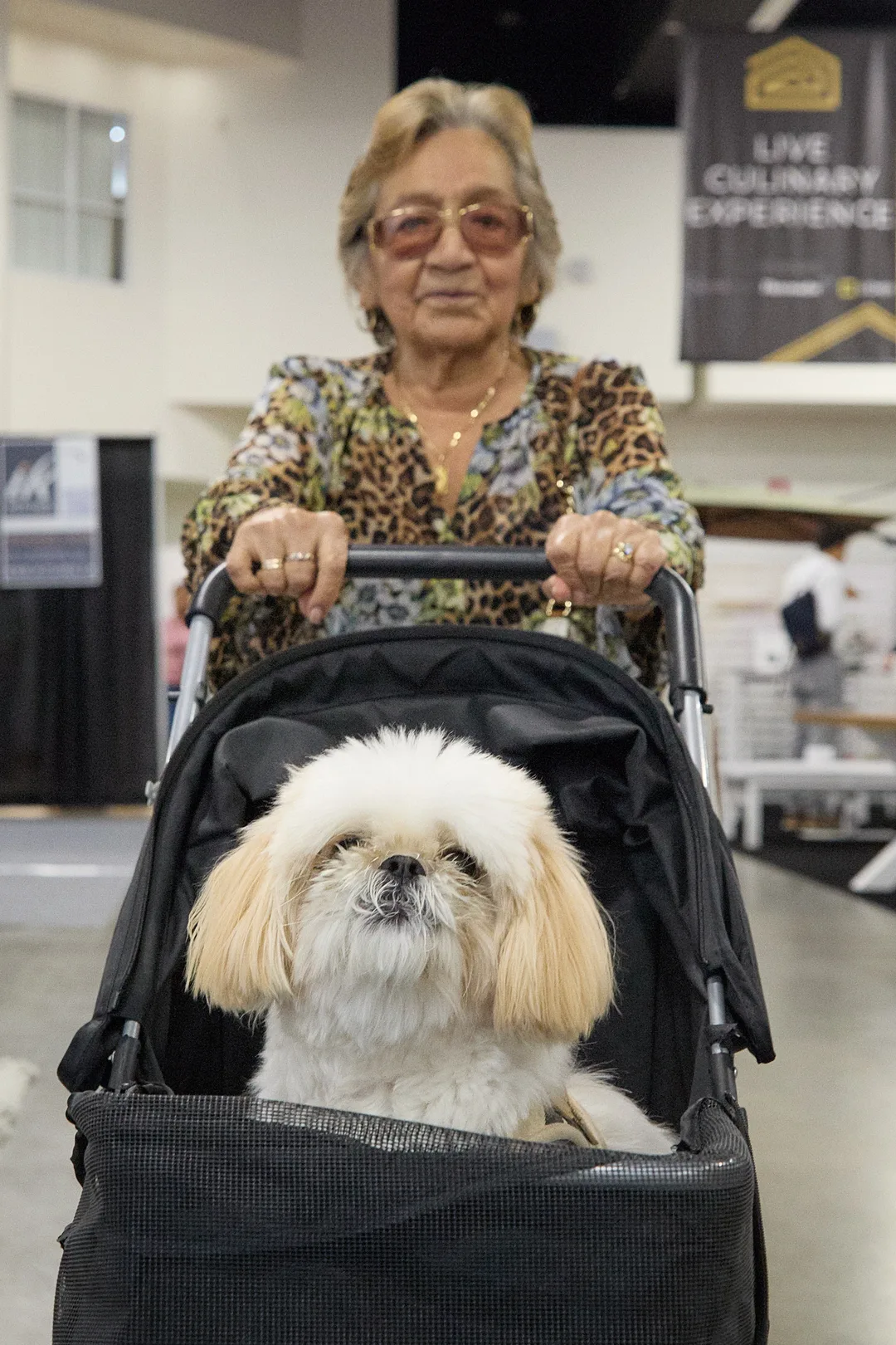 A visitor pushes a small dog in a pet stroller down an aisle beneath a Live Culinary Experience banner on the home show floor.