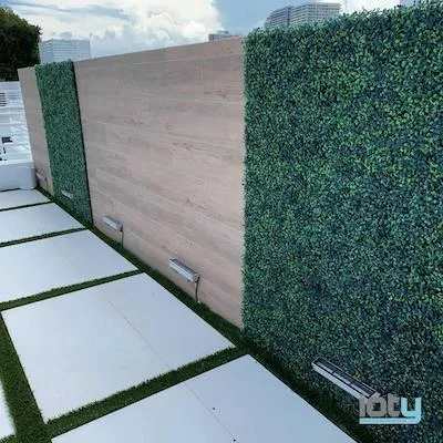 Rooftop terrace with artificial turf, boxwood privacy wall, and stepping stone path