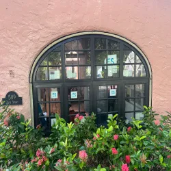 Arched black impact window framed by bougainvillea on a coral-pink stucco wall